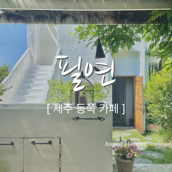  {제주시/카페} 갤러리 카페 필연 :: "특별한 인테리어 그리고 정원이 예쁜 카페", 조천 카페, 제주 동쪽 카페,