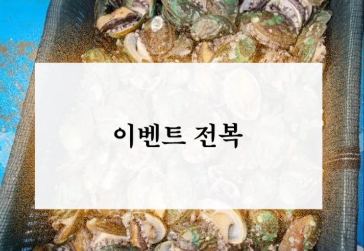 <b>신안 전복</b> 이벤트 kg당 19미 크기