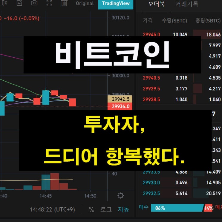  비트코인 투자자, 드디어 "항복"했다. 진짜일까?