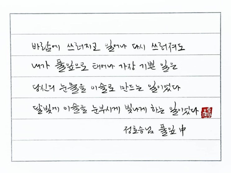  [캘리그라피(붓펜)/풀잎/정호승/당신을찾아서/좋은글귀/공감글귀/감성글귀] 바람에 쓰러지고 일어나 다시 쓰러져도 내가 풀잎으로 태어나 가장 기쁜일은...