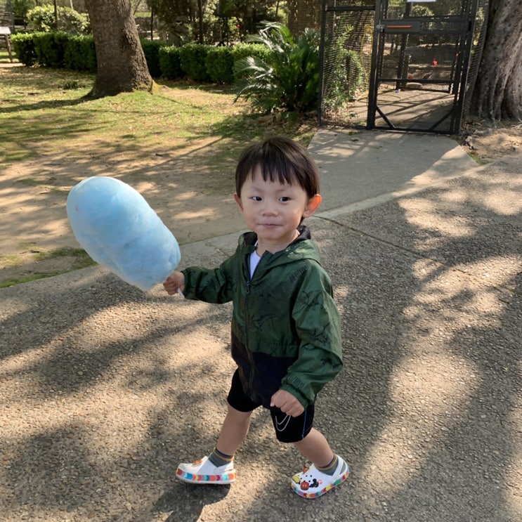  로아+36:너의 첫 동물원