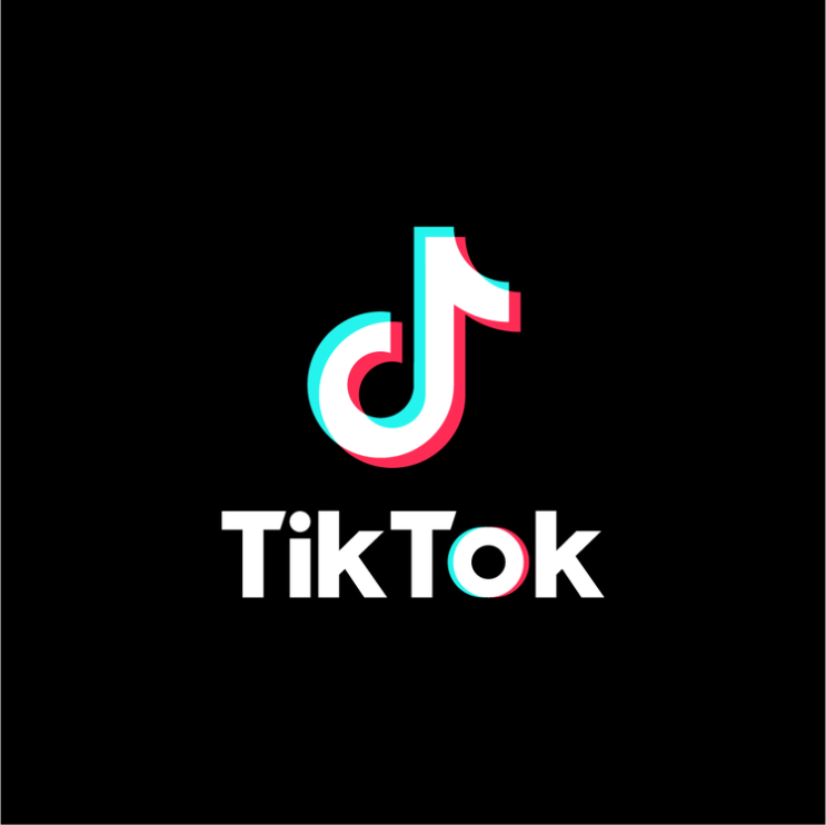  틱톡 - 유료 구독 도입