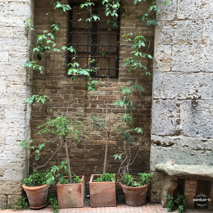   이탈리아- 토스카나 소도시 여행 :: 산 지미냐노(San Gimignano)