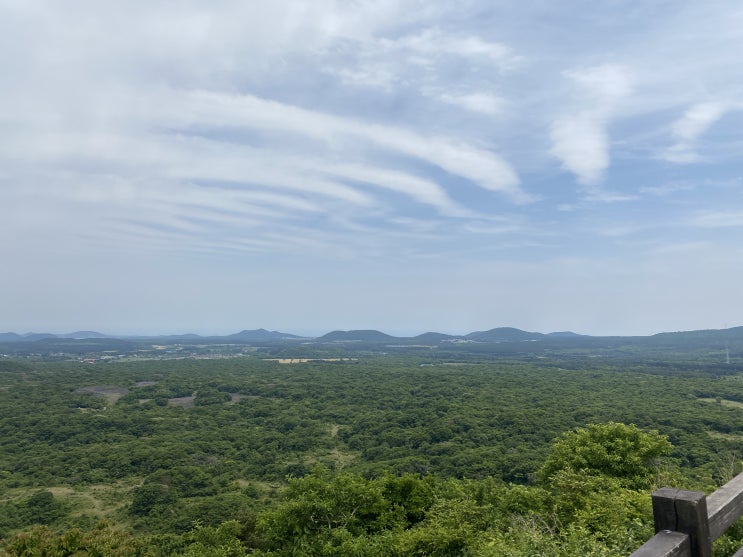 제주도 산책코스 교래자연휴양림