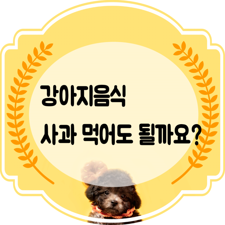  강아지음식 사과 먹어도 될까요?