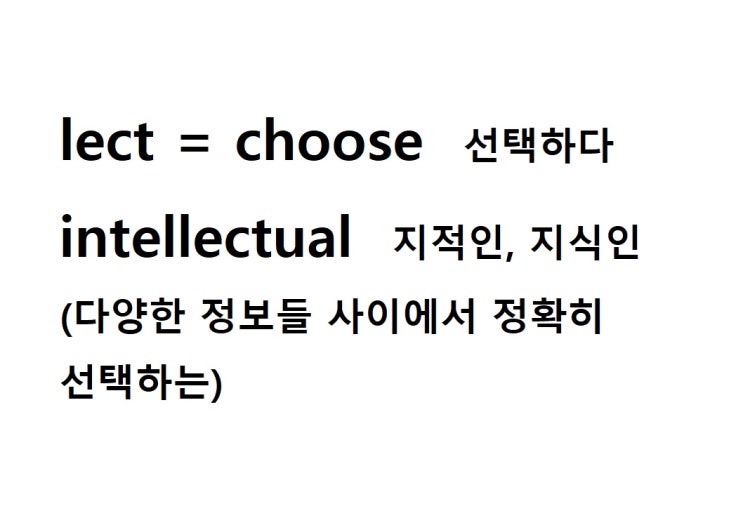  어근 lect = choose 선택하다 (intellectual 다양한 정보들 사이에서 정확히 선택하는 = 지적인, 지식인)