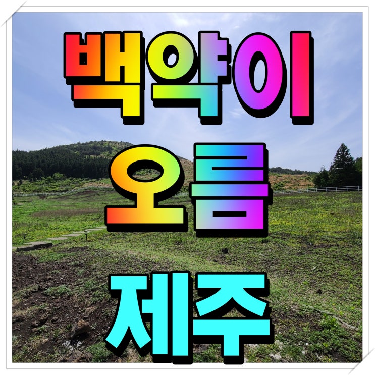  제주 백약이오름 자연 풍경 그대로를 느껴보자