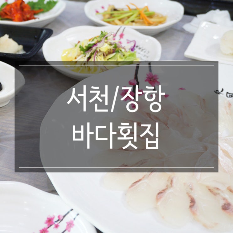 서천 장항 맛집 &lt;바다회집&gt; 푸짐하고 신선한 회정식