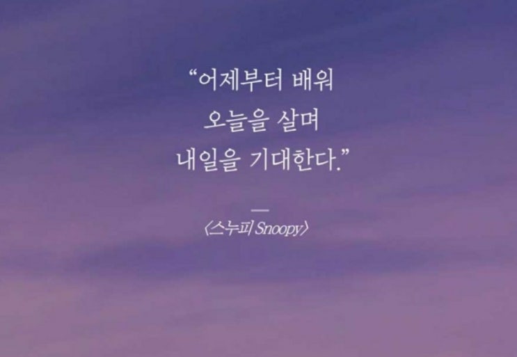  부거사이 [부동산 뉴스와 블로그] 5월 26일(목)