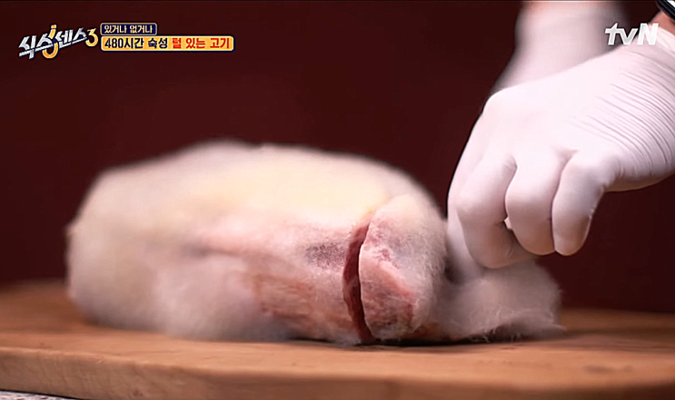 헐.. 털곰팡이로 뒤덮인 고기 먹어보니..