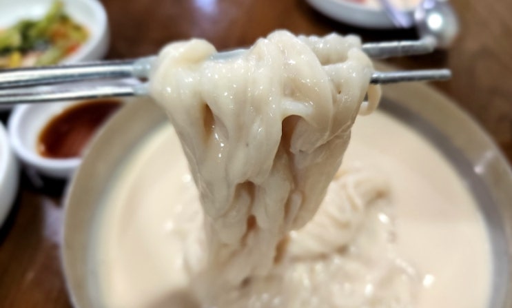  영등포 서민준 밀밭, 콩국수 맛집 클래식한 비주얼과 맛!