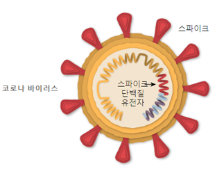 파이자-BioNTech 백신 원리