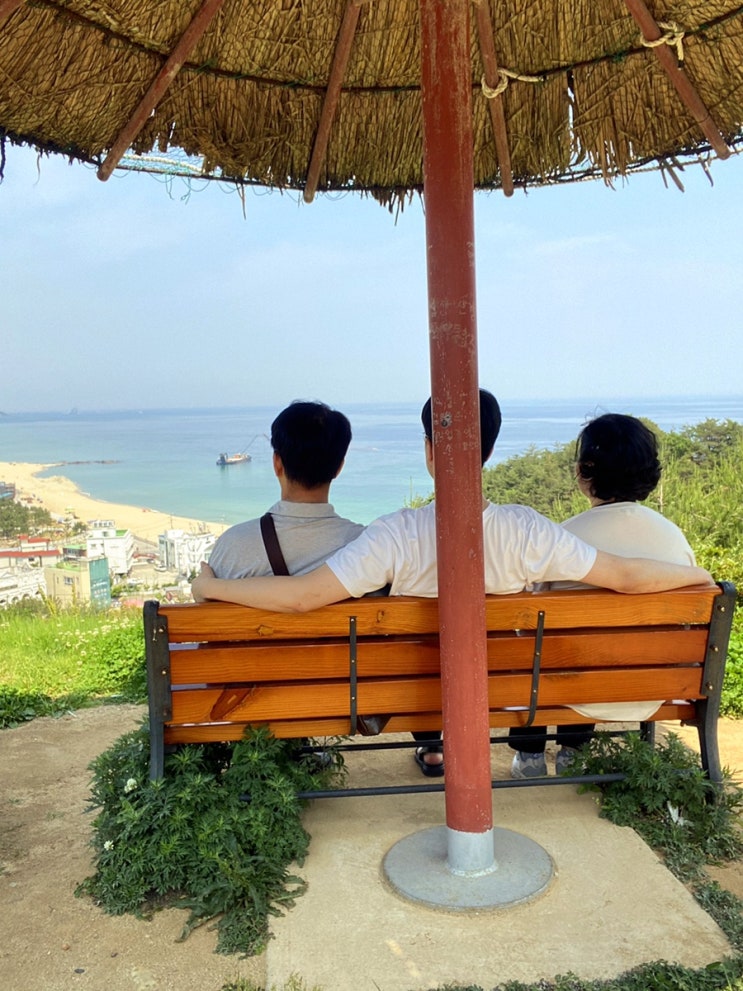  또 갔다! 강릉 정동진 조각공원 여행(효도여행 ver.)