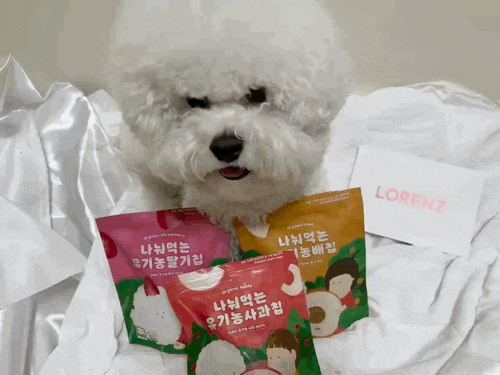  강아지동결건조 로렌츠 과일칩:애견간식,알러지,음수량