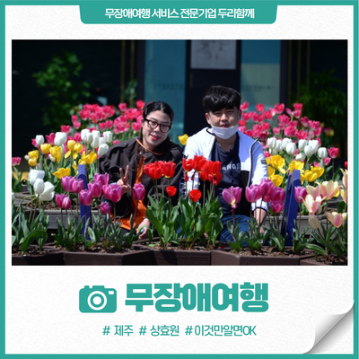  4월 무장애 제주 봄꽃 여행, 알록달록 오색빛깔 튤립 정원 '상효원'