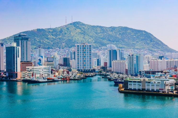 부산 가볼만한곳 자갈치 시장, 삼진어묵 영도 본점 먹거리 푸짐 부산 가볼만한곳 자갈치 시장, 삼진어묵 영도 본점 먹거리 푸짐