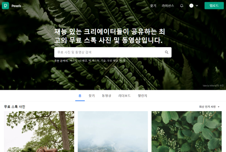  무료 스톡 사진 · Pexels