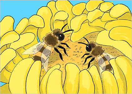 꿀벌의 침 꿀벌의 침