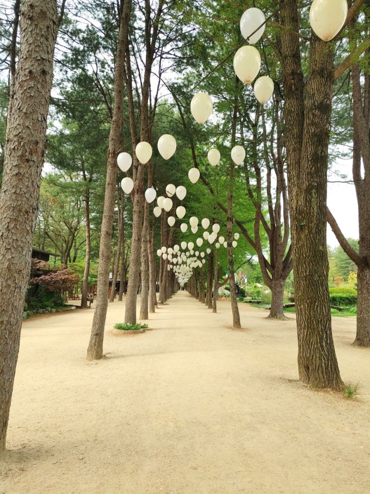 남이섬 1박2일 아이와 함께하기 좋은 놀거리 볼거리