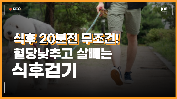  식후 20분 전 무조건! 혈당 낮추고 살빼는 식후 걷기
