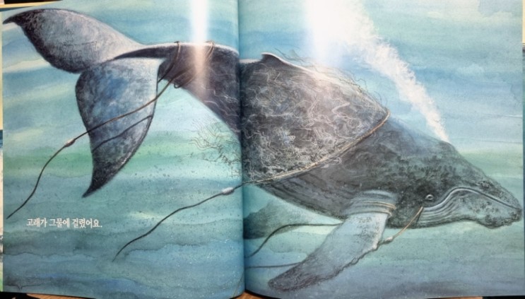 환경그림책 :: 똥섬이 사라진대요, 고래가 그물에 걸렸어요, 높은 곳으로 달려(쓰나미에서 살아남은 아이들)