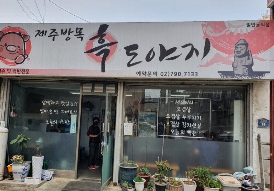 제주방목흑도야지 사진 1