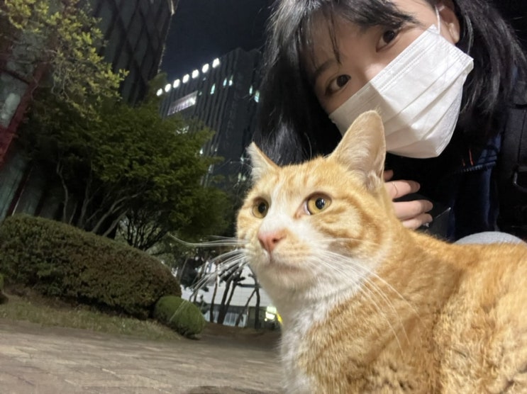  4월 일상
