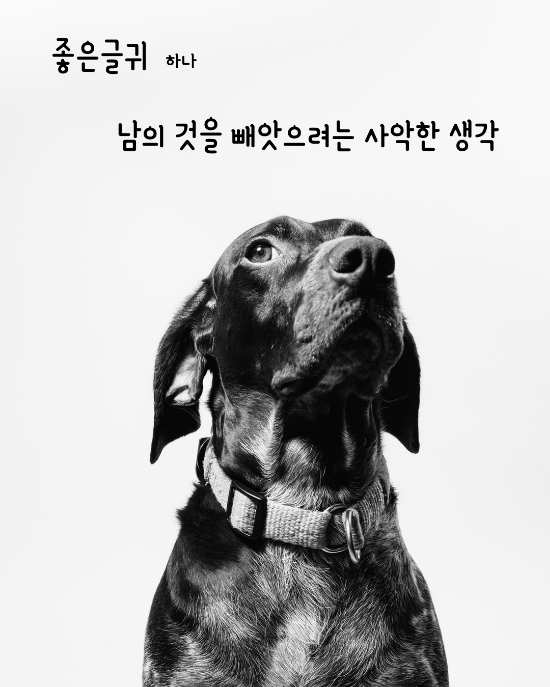 좋은글귀 남의 것을 빼앗으려는 사악한 생각 좋은글귀 남의 것을 빼앗으려는 사악한 생각