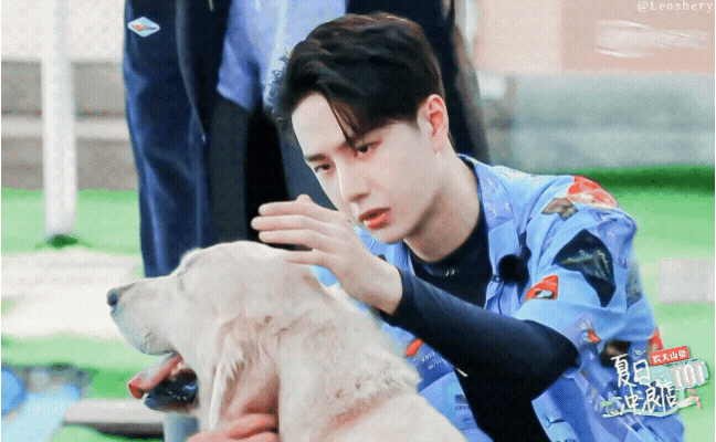  진준쌤 라디오 09- 宠物，狗狗，猫猫<韩语汉语半半来>