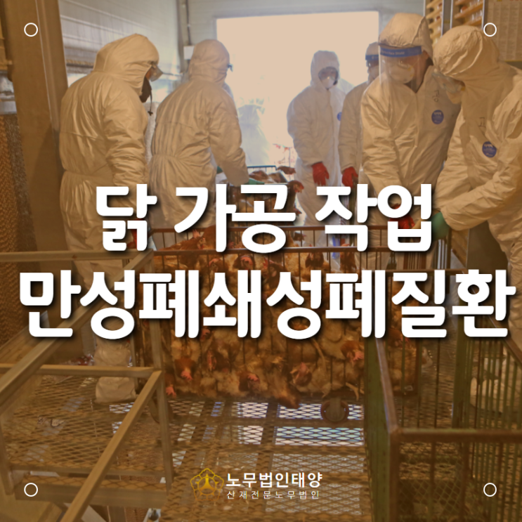  <안산 산재 노무사> 닭 가공 작업자에서 발생한 만성폐쇄성폐질환 산재 승인 사례