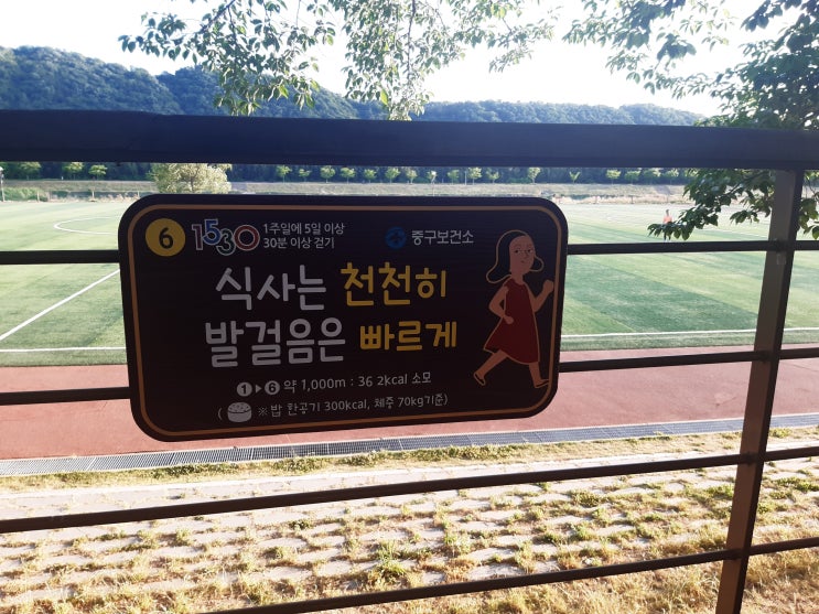  태화강 국가 정원 발걸음 하나하나 내 머리를 식힌다