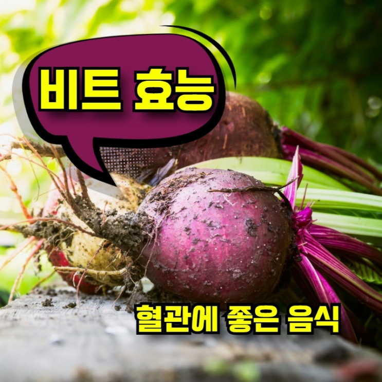  비트 효능 누리려면 제주습관 물타지않은 유기농 비트즙추천