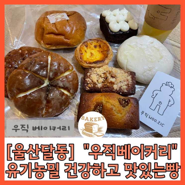  [울산남구] 달동의 “우직베이커리” 유기농 재료로 만드는 건강하고 맛있는 빵집