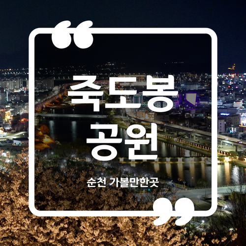  순천 가볼만한곳 - 죽도봉공원  주차 순천 야경
