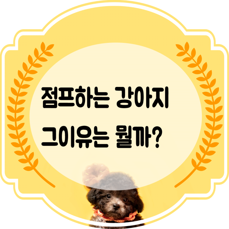  점프하는강아지 그 이유는 뭘까?