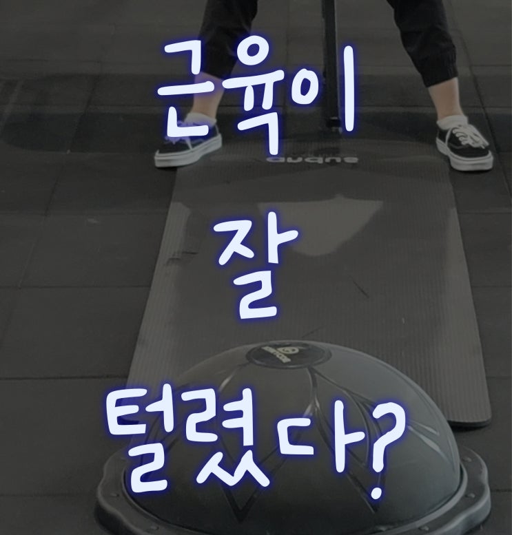  [헬린이#30] PT: 어린이날엔 뭐다?  _'근육이 잘 털렸다'라는 건?