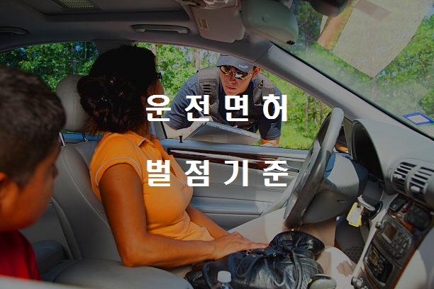  운전면허 벌점 없애는 4가지 꿀팁