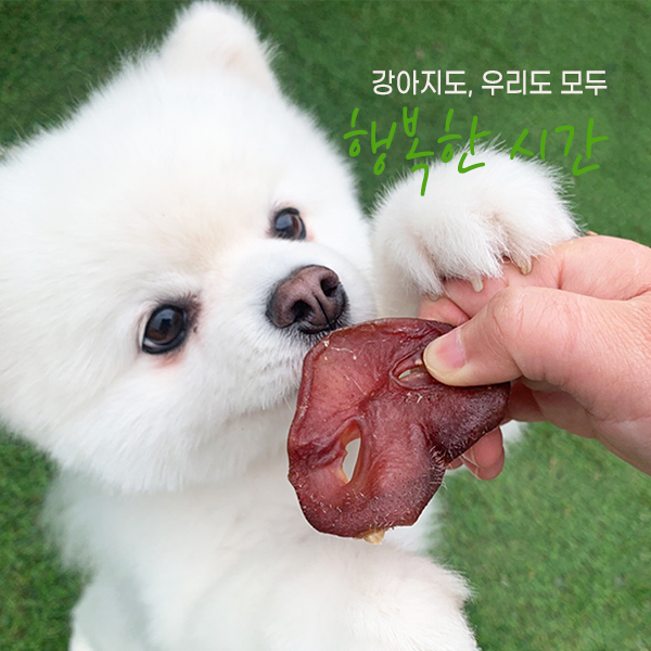  강아지 반려동물 반려견 애견 펫 간식 돼지코 상세페이지 사진촬영