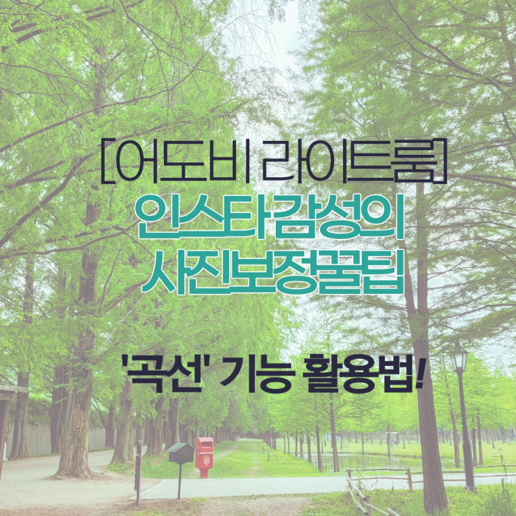 어도비 라이트룸- 인스타 감성의 드라마틱한 사진 보정 꿀팁, '곡선' 기능 활용법!