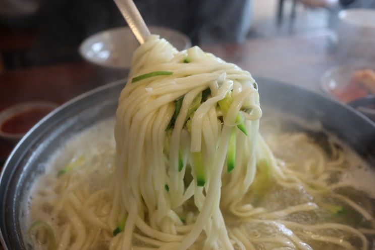 광명 맛집 양 많이 주는곳 백합 칼국수