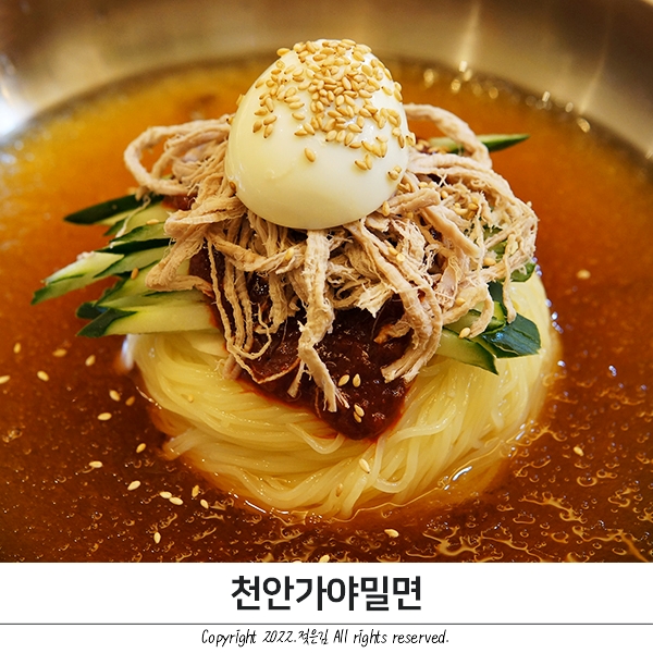 성환맛집 천안가야밀면 정성 가득 천안서북구맛집 성환맛집 천안가야밀면 정성 가득 천안서북구맛집