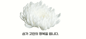  왠지, 미안한 마음이 더 듭니다.