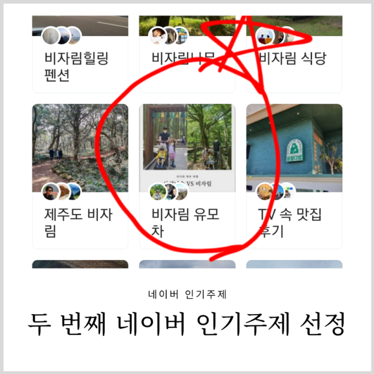 네이버 인기주제 2번째 선정 비자림 관련 글에 선정되었어요 네이버 인기주제 2번째 선정 비자림 관련 글에 선정되었어요