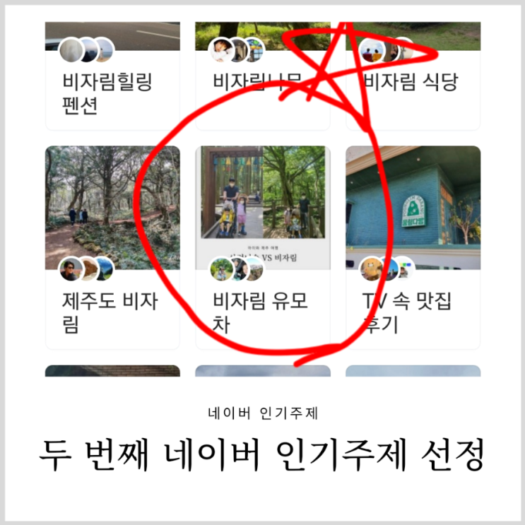 네이버 인기주제 2번째 선정 비자림 관련 글에 선정되었어요