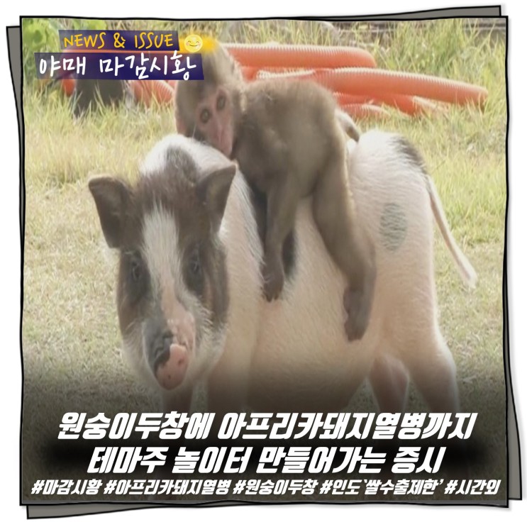 [ 마감시황 ] 원숭이두창에 아프리카돼지열병까지 테마주 놀이터 만들어가는 증시
