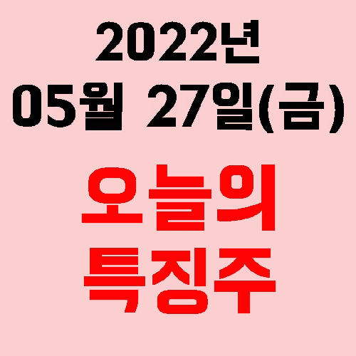  오늘의 시장 특징주 2022년 05월 27일(금)