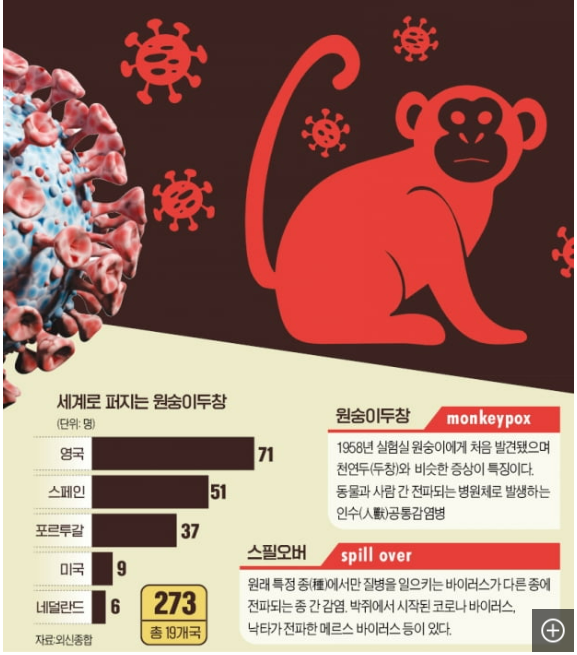  [주식] HK이노엔, 원숭이두창 관련 주가 상승하다 (Ft. 원숭이두창이란 및 감염경로와 원인, 증상)