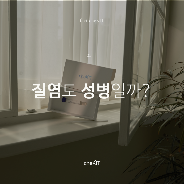  [비대면 성병검사 체킷] 질염과 성병, 어떻게 다를까?