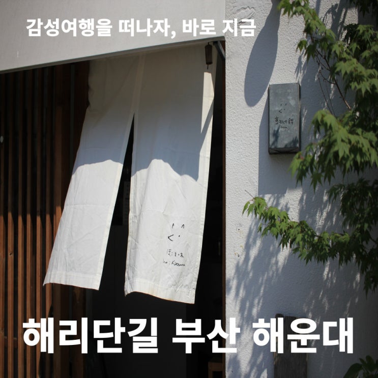  해리단길을 아시나요? 걷기만 해도 감성 폭발!!  부산 해운대로 떠나요~!
