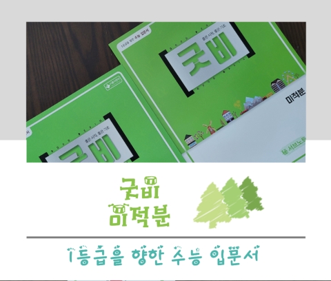  1등급을 향한 수능 입문서 (개념부터 기출까지) - 굿비 미적분